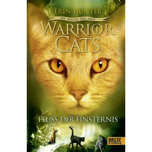 Warrior Cats - Die Macht der drei - Fluss der Finsternis