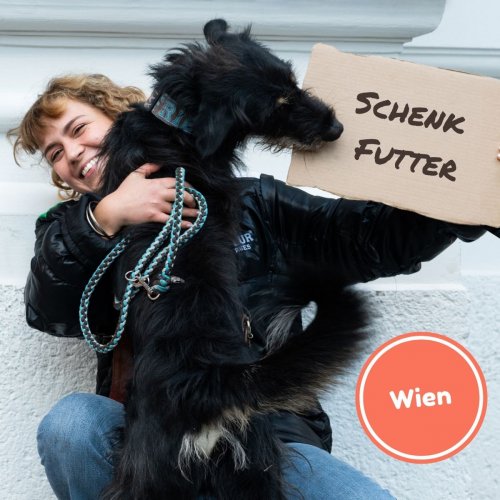 Produkte Spenden | Haus St. Josef | Schenk Futter für einen Hund im Obdachlosenhaus
| Caritas Wirhelfen.shop