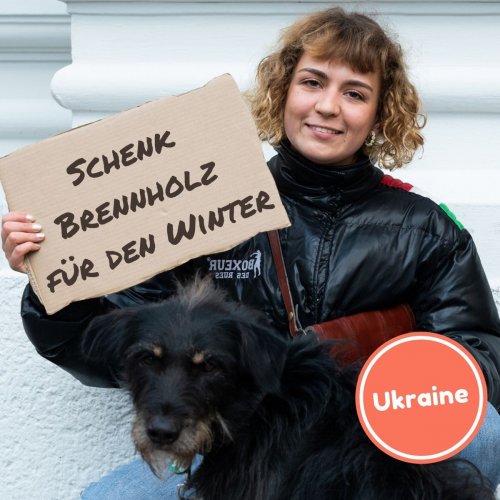 Schenk Brennholz für kalte Wintertage