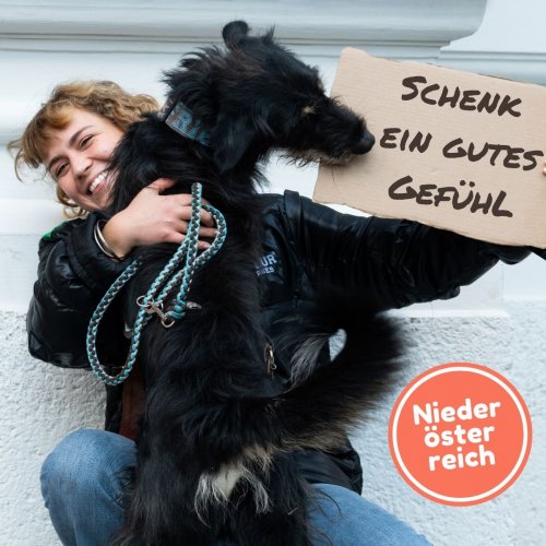 Schenk ein Hygienepaket für Frauen
