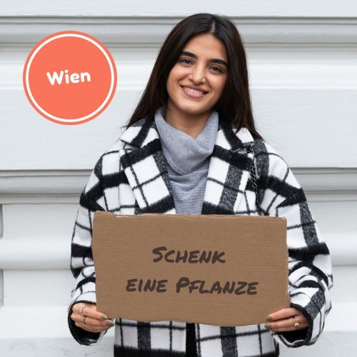 Schenk Pflanzen 